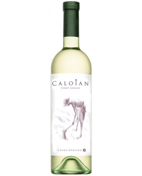 Caloian Pinot Grigio 2022 | Crama Oprisor | Plaiurile Drancei